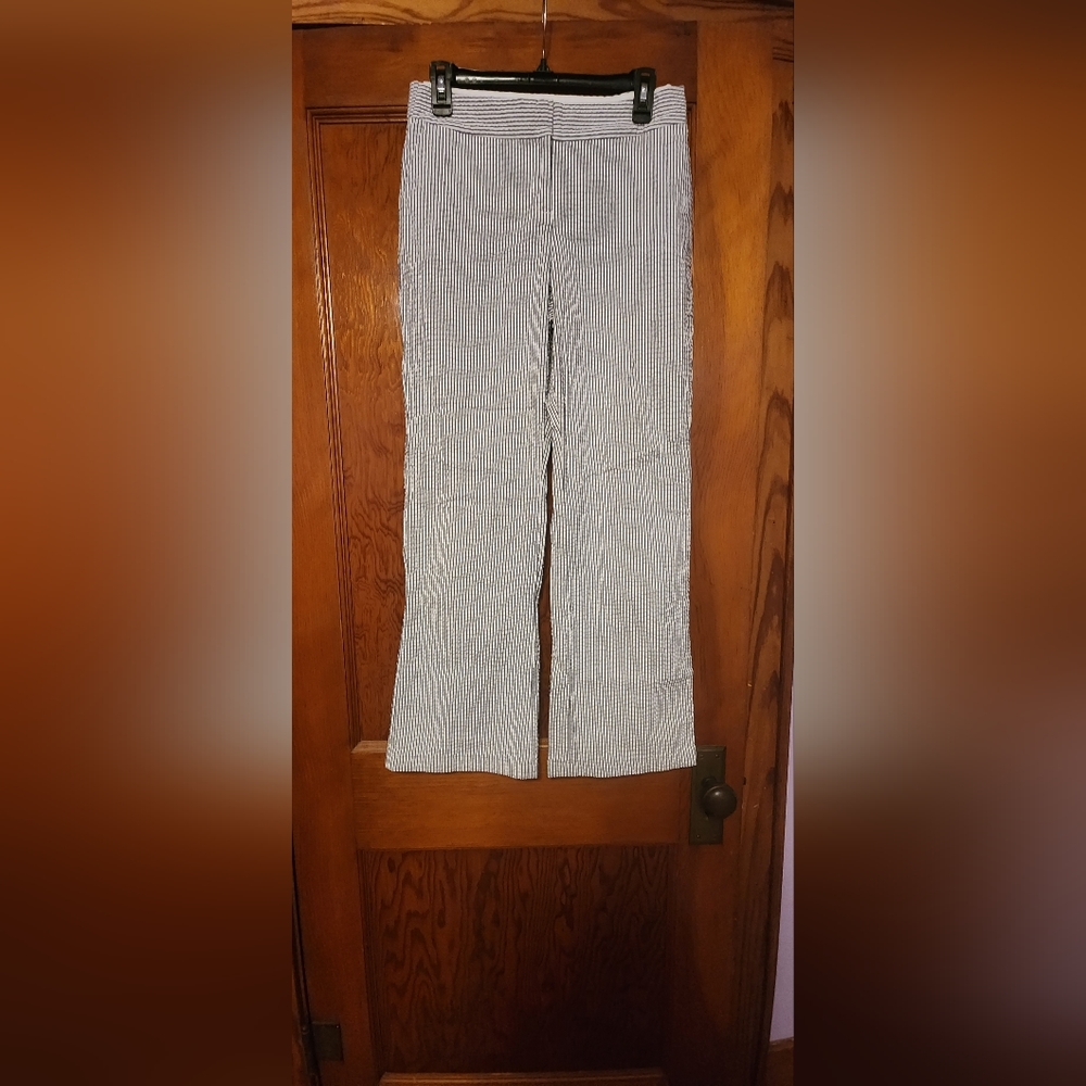 isaac mizrahi for target blue and white striped pants